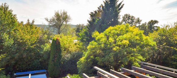 6 rooms House in Klosterneuburg, Austria No. 234018 19