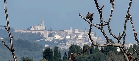 5 bedrooms Apartment in Avigliano Umbro, Italy No. 355812 17