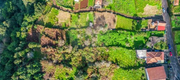 5 bedrooms House in Santana, Portugal No. 28542 4