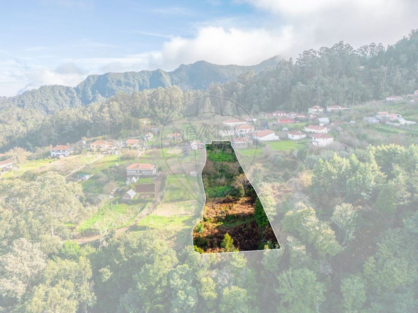 5 bedrooms House in Santana, Portugal No. 28542