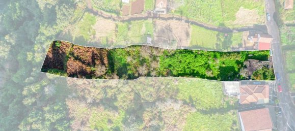 5 bedrooms House in Santana, Portugal No. 28542 5