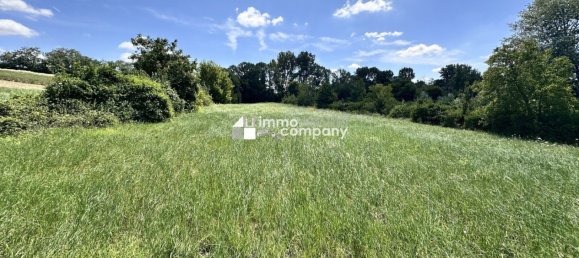 Grundstück in Prellenkirchen, Austria 18064m², Nr. 228791 2