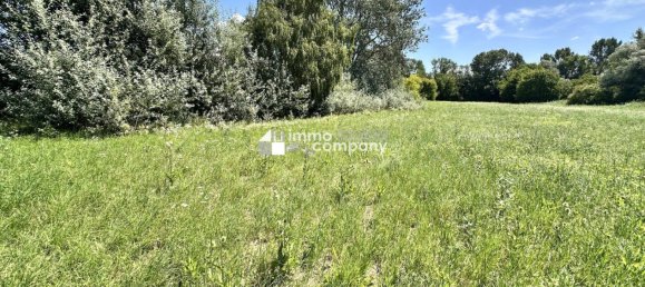 Grundstück in Prellenkirchen, Austria 18064m², Nr. 228791 6