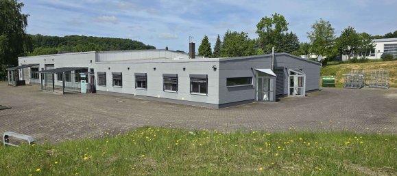 Склад 1079м² в Вестервальд, Германия № 366967 7