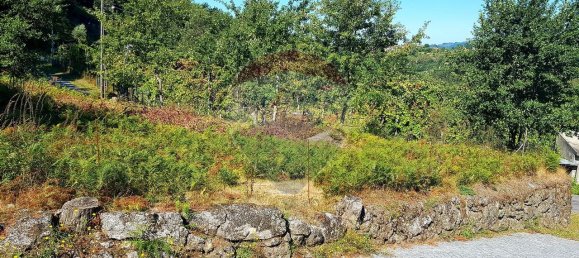 5000m² Land in Rossas, Portugal No. 36622 5