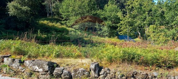 5000m² Land in Rossas, Portugal No. 36622 4