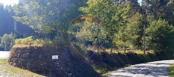 5000m² Land in Rossas, Portugal No. 36622 3