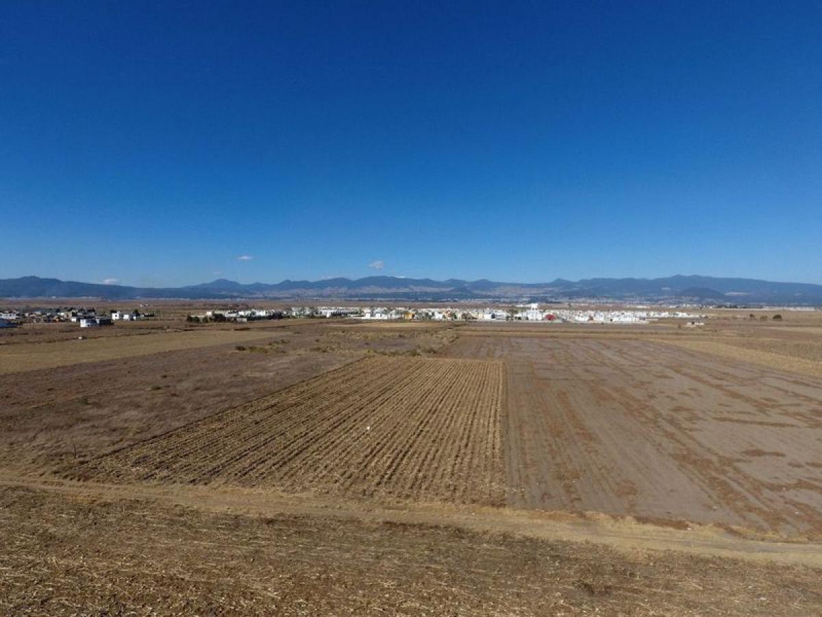 Grundstück in Mexico, Nr. 206600