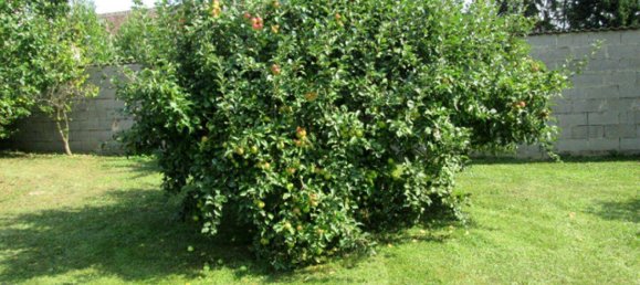 Casa de 2 habitaciónes en Kaisersdorf, Austria No. 231593 18