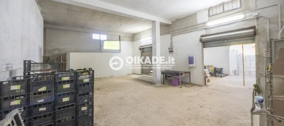 3-Zimmer Haus in Sardinia, Italy, Nr. 250033 10