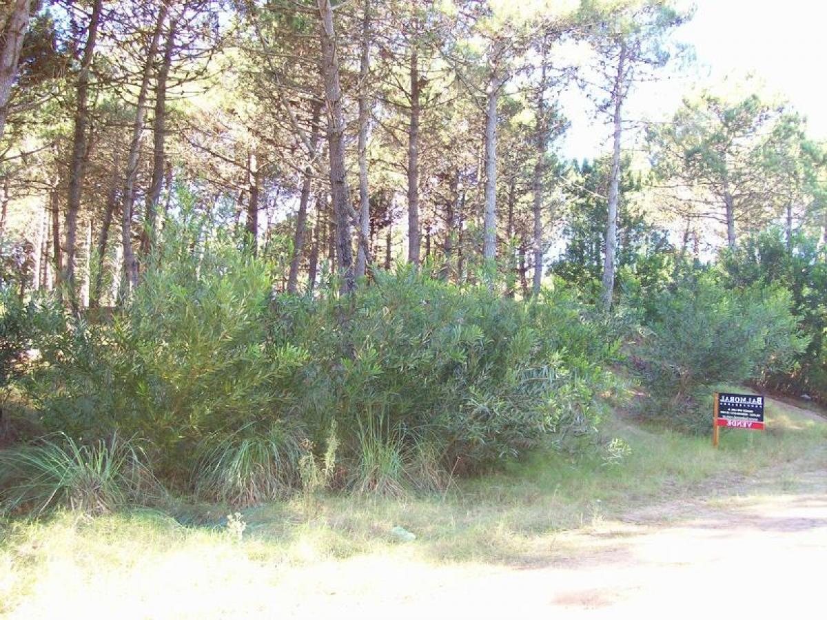  Land in Mar del Plata, Argentina No. 118642