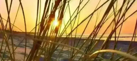 5-salle Maison à Vorpommern-Rugen, Germany No. 365449 26