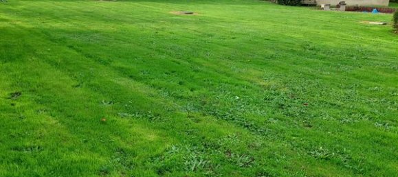 5 rooms House in Trigueres, France No. 160699 2