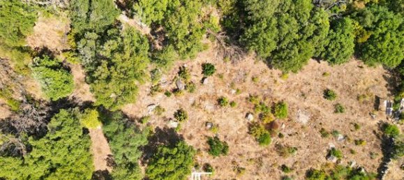 Terrain à Porto-Vecchio, France 3877m² No. 354437 5
