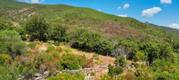 Terrain à Porto-Vecchio, France 3877m² No. 354437 4