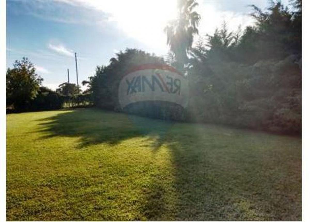 Terrain à Pilar, Argentina No. 117767