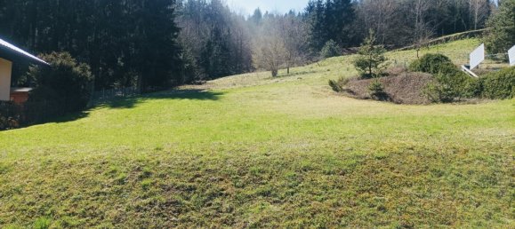  Land in Krumpendorf am Worthersee, Austria No. 131789 6