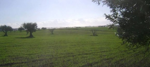 Дом с 3 спальнями в Ното, Италия № 68452 30