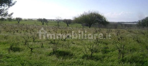 Дом с 3 спальнями в Ното, Италия № 68452 15