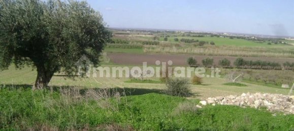 Дом с 3 спальнями в Ното, Италия № 68452 14