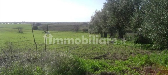 Дом с 3 спальнями в Ното, Италия № 68452 19