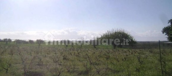 Дом с 3 спальнями в Ното, Италия № 68452 18