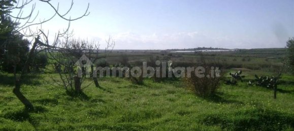 Дом с 3 спальнями в Ното, Италия № 68452 28