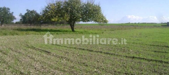 Дом с 3 спальнями в Ното, Италия № 68452 31