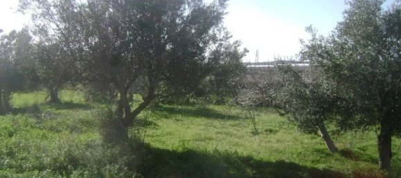 Дом с 3 спальнями в Ното, Италия № 68452 27