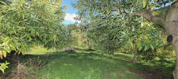 1 غرف نوم منزل في Tolox, Spain رقم 85302 3