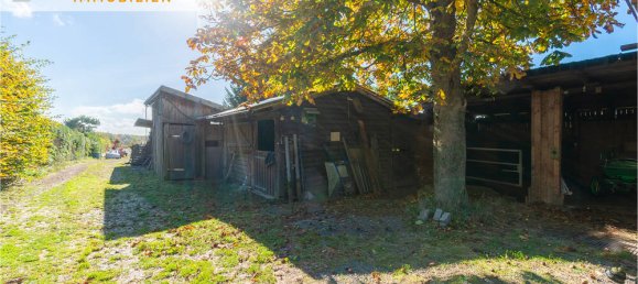 3-Zimmer Haus in Harz, Germany, Nr. 168305 17