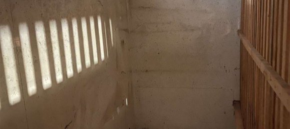 Apartamento de 3 dormitorios en Karlsruhe, Germany No. 244996 26