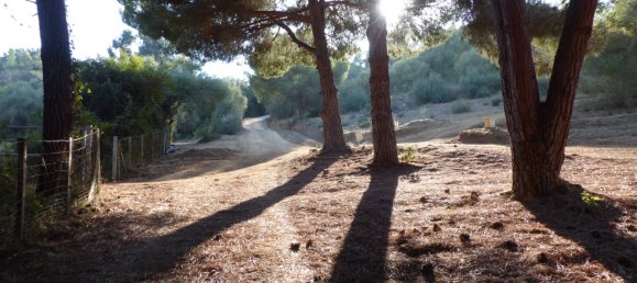 4 bedrooms Castles in Coti-Chiavari, France No. 86364 6