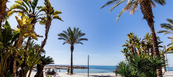 Apartamento T2 em Torrevieja, Spain N.º 96184 62