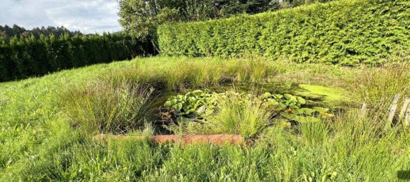 3 rooms Bungalow in Weinitzen, Austria No. 168736 3