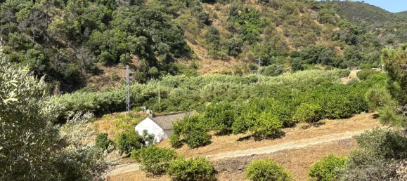 Grundstück in Estepona, Spain, Nr. 147708 9