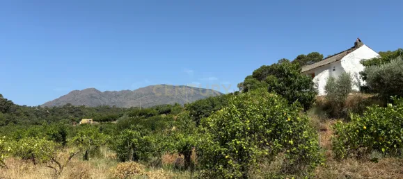 Grundstück in Estepona, Spain, Nr. 147708 23