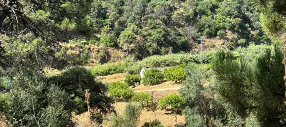 Grundstück in Estepona, Spain, Nr. 147708 7