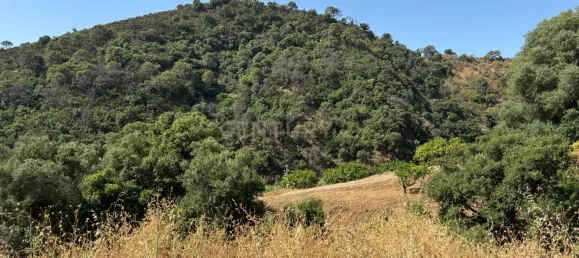 Grundstück in Estepona, Spain, Nr. 147708 14