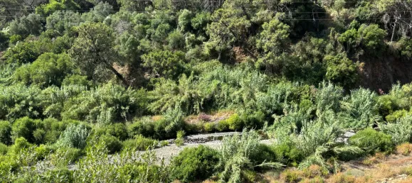 Grundstück in Estepona, Spain, Nr. 147708 12