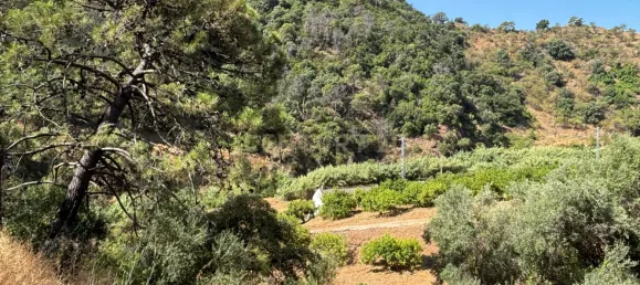 Grundstück in Estepona, Spain, Nr. 147708 5