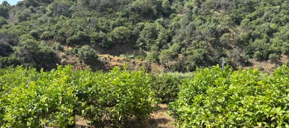 Grundstück in Estepona, Spain, Nr. 147708 21