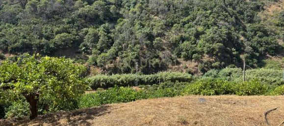 Grundstück in Estepona, Spain, Nr. 147708 18