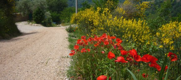 3 bedrooms House in Ascoli Piceno, Italy No. 137312 16