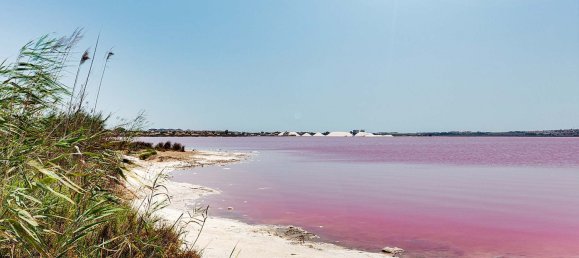 3 Schlafzimmer Villa in Torrevieja, Spain, Nr. 10957 8