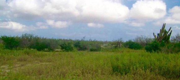  Land in La Paz, Mexico No. 124328 2