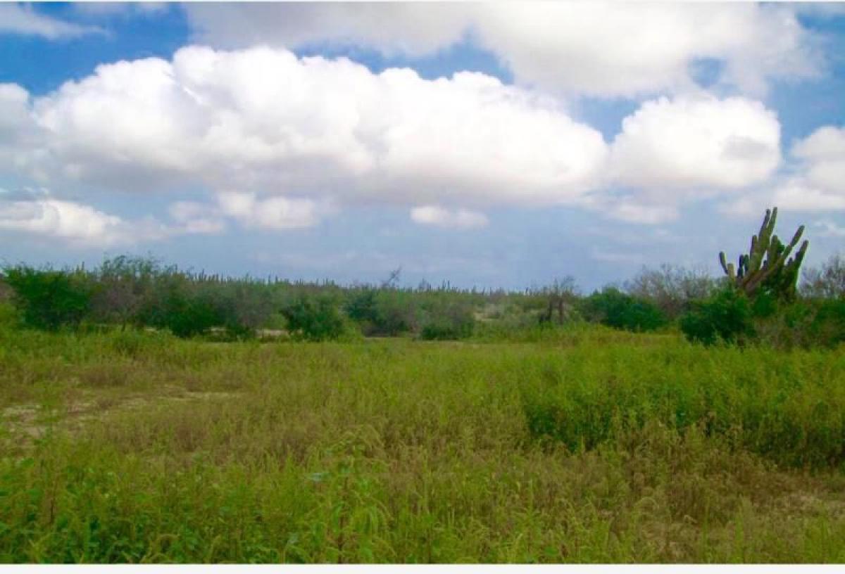  Land in La Paz, Mexico No. 124328