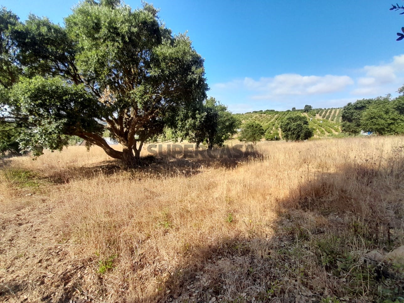  Land in Bombarral, Portugal No. 308518