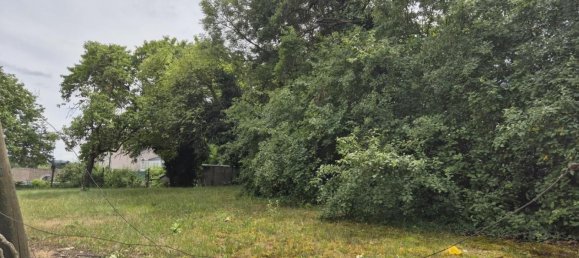 Terrain à Gross-Enzersdorf, Austria No. 214070 2