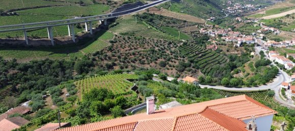 7 bedrooms House in Peso da Regua, Portugal No. 142774 8